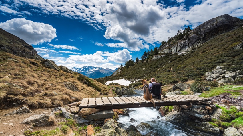 Wanderluster hiker sitting with dog in mountains