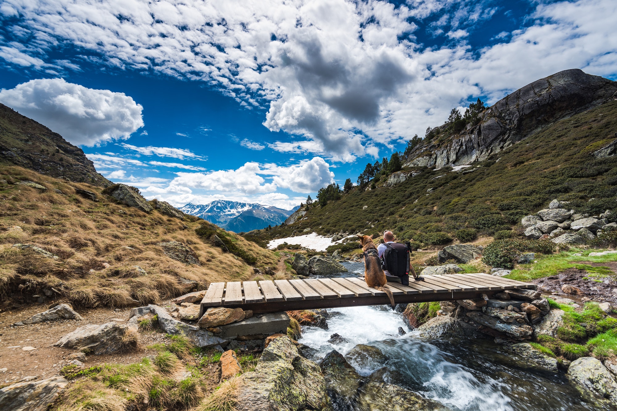 Wanderluster hiker sitting with dog in mountains